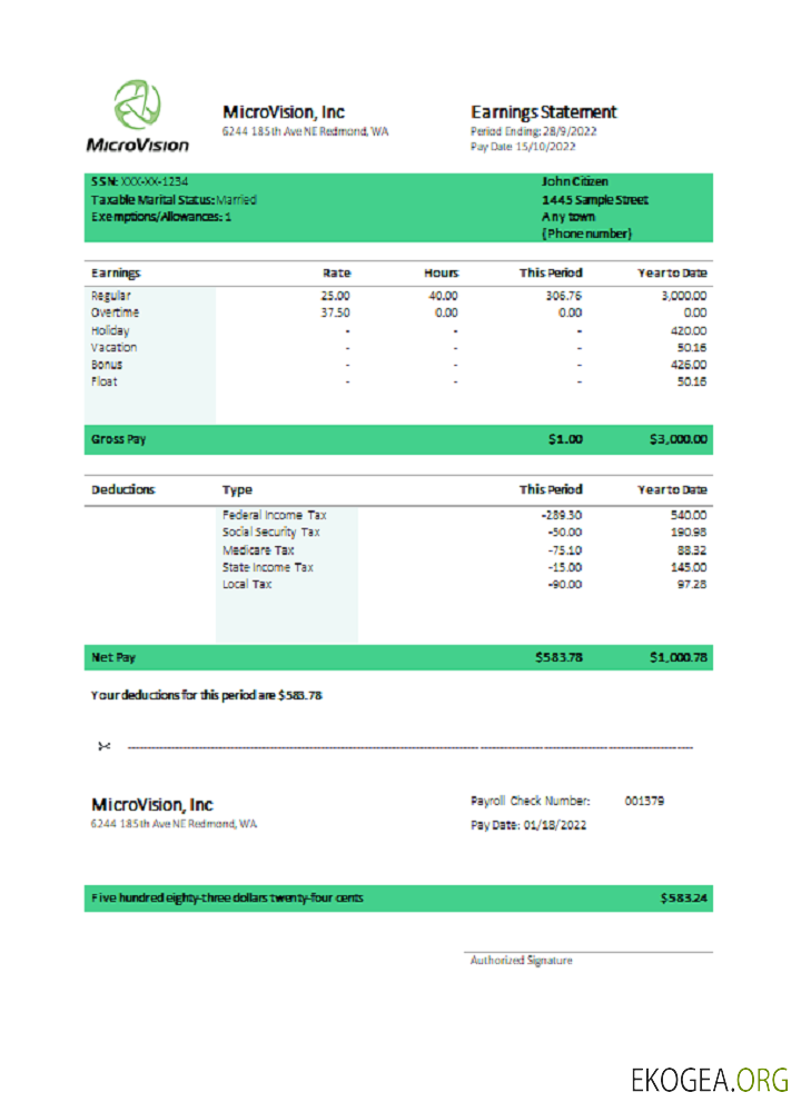Fiche de paie de la société d'information USA MicroVision